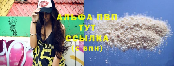 прущие грибы Арсеньев