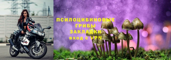 ALPHA PVP Аркадак