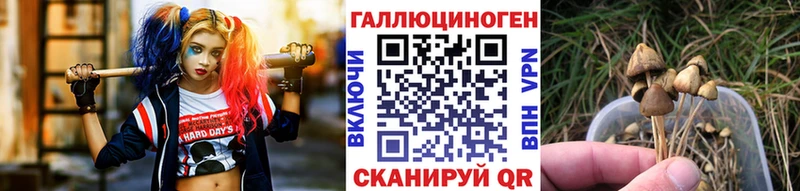 Псилоцибиновые грибы Psilocybine cubensis  купить наркотик  Снежинск 